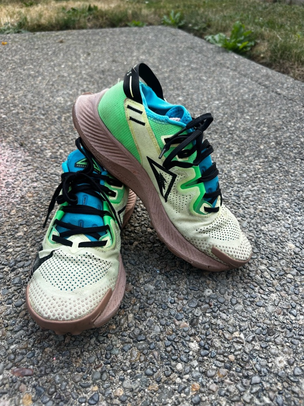 Nike Men's Trail Pegasus Shoes. Like New!